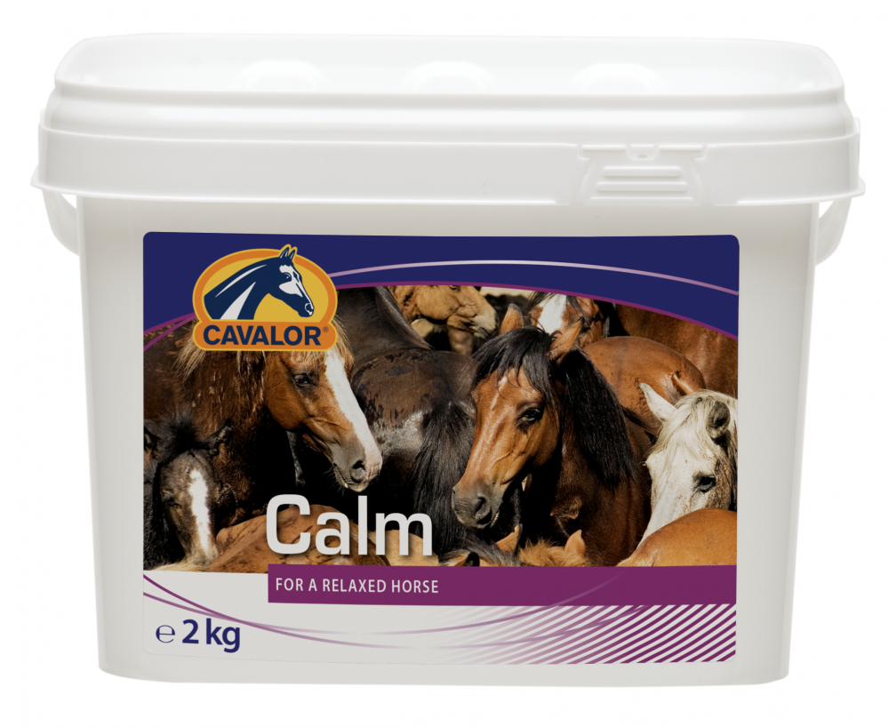 ADAPTIL CHEW 30 Compresse - Integratore per Cani per Ridurre lo Stress ADAPTIL CHEW 30 Compresse - Integratore per Cani per Ridurre lo Stress