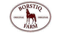 Borstiq