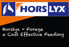 Horslyx