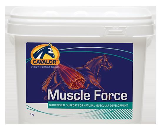 Cavalor Muscle Force Pferdefutter – Muskelaufbau Ergänzung, 2 Kg